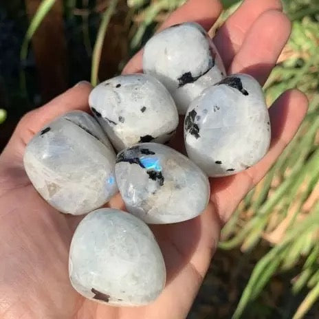 Rainbow Tumbled Moonstone